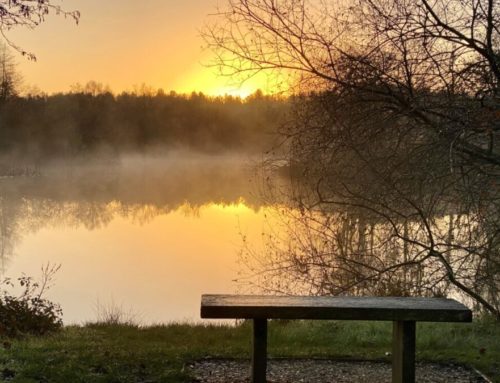 DIOCESE OF PLYMOUTH – NEW SAFEGUARDING LEAFLET 2